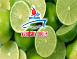 SEEDLESS LIME HIGH QUALITY FROM VIETNAM